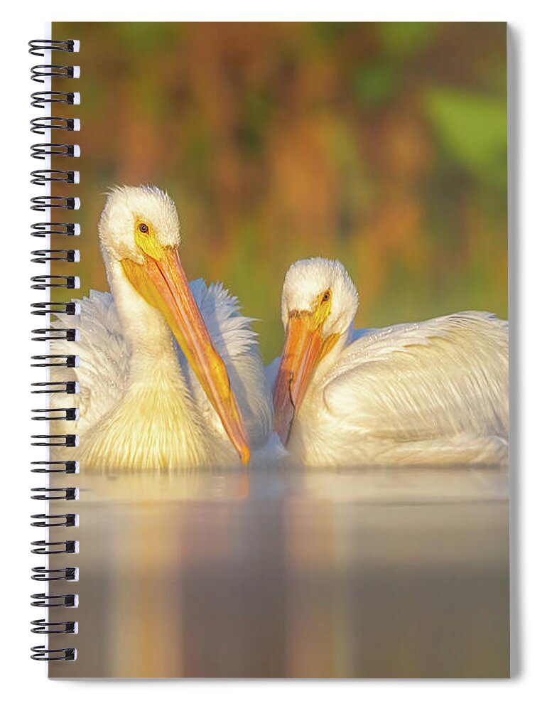 Dream Team - Spiral Notebook