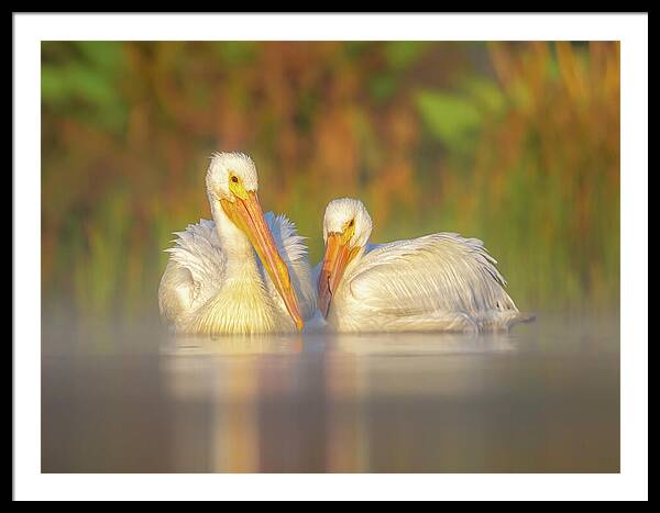 Dream Team - Framed Print