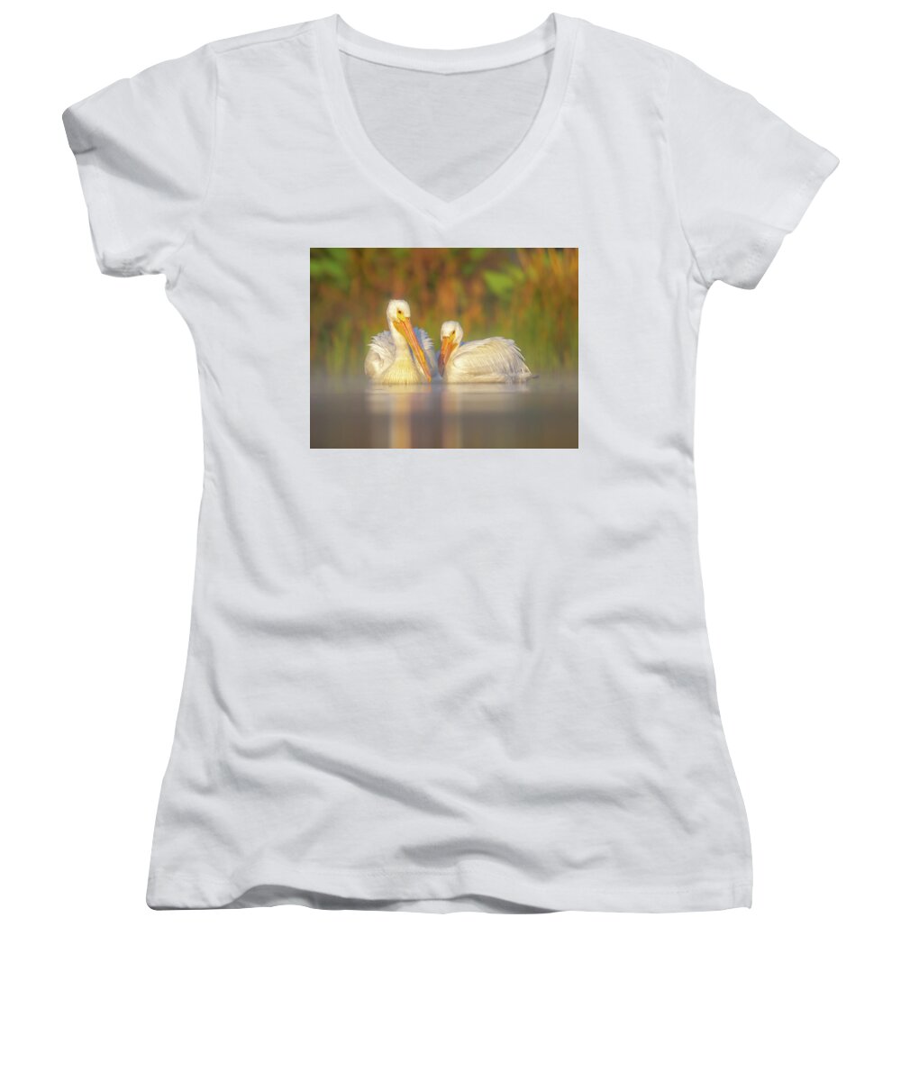 Dream Team - Women's V-Neck