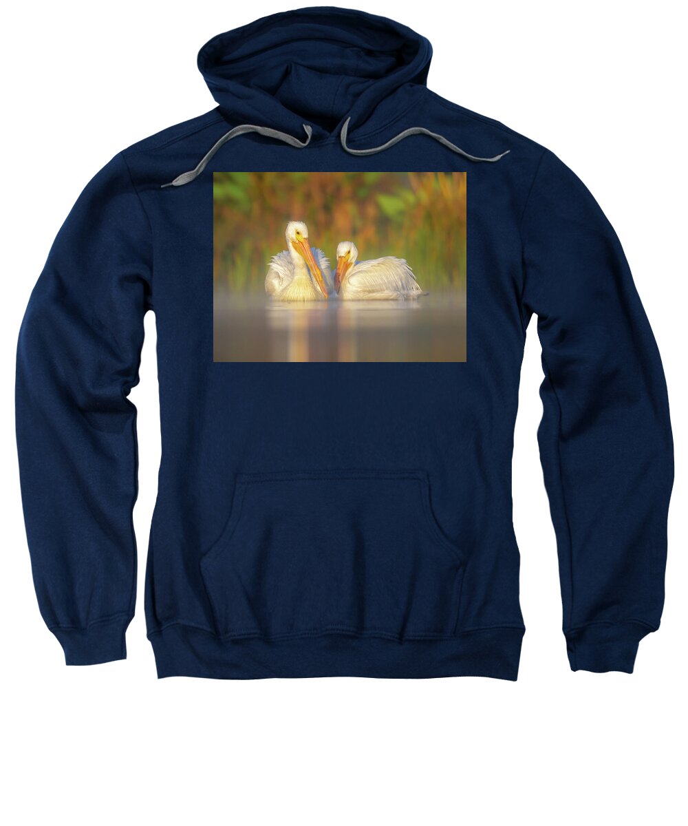 Dream Team - Sweatshirt