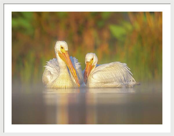 Dream Team - Framed Print