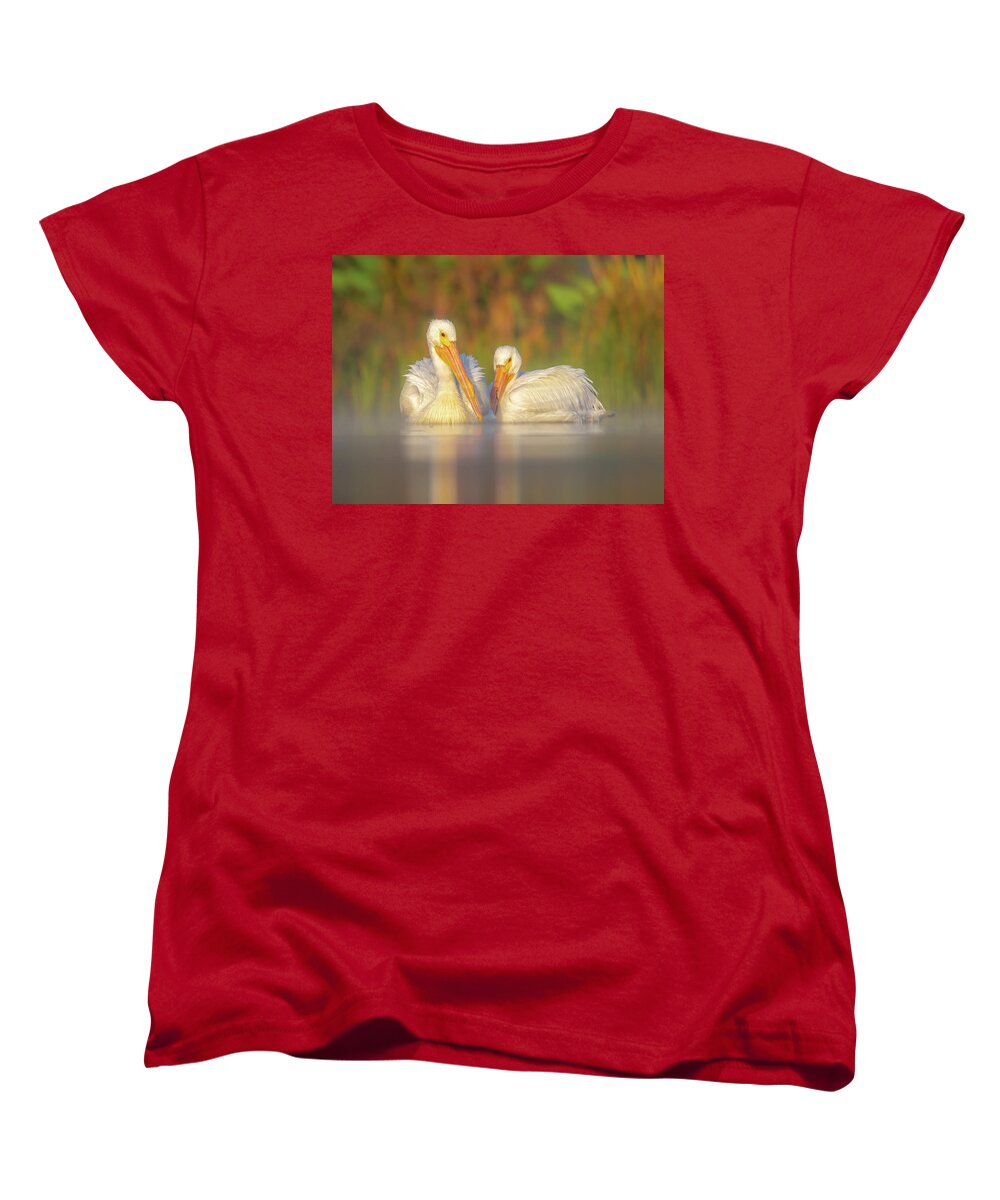 Dream Team - Women's T-Shirt (Standard Fit)