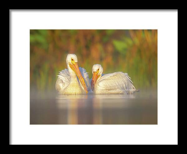 Dream Team - Framed Print