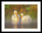 Dream Team - Framed Print