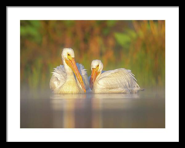 Dream Team - Framed Print