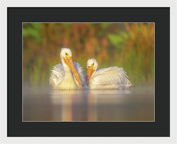 Dream Team - Framed Print