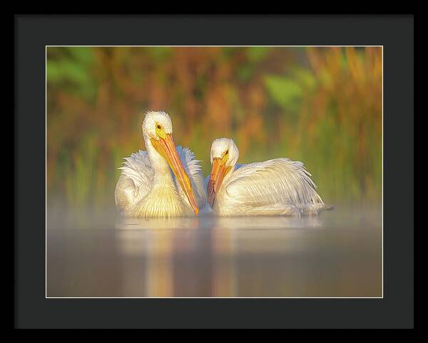 Dream Team - Framed Print