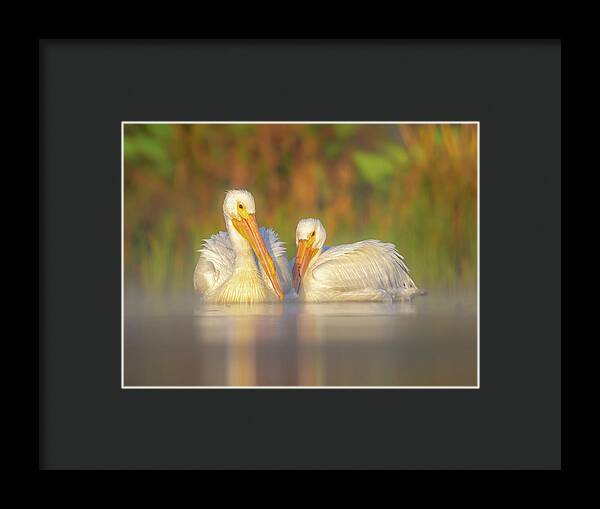 Dream Team - Framed Print