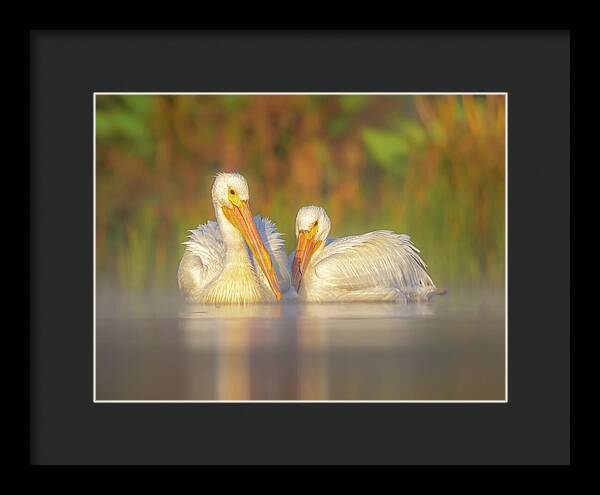 Dream Team - Framed Print