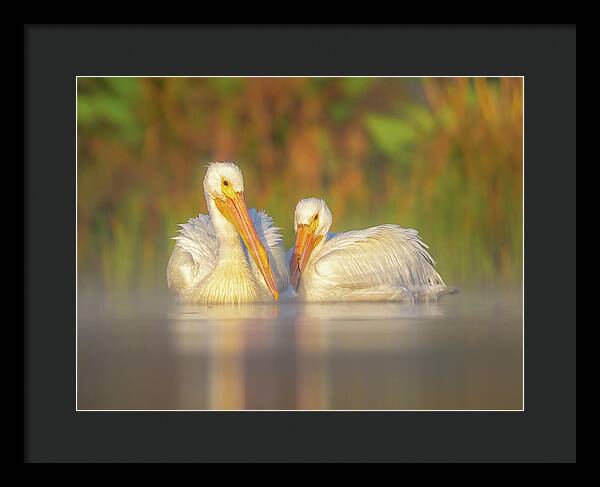 Dream Team - Framed Print