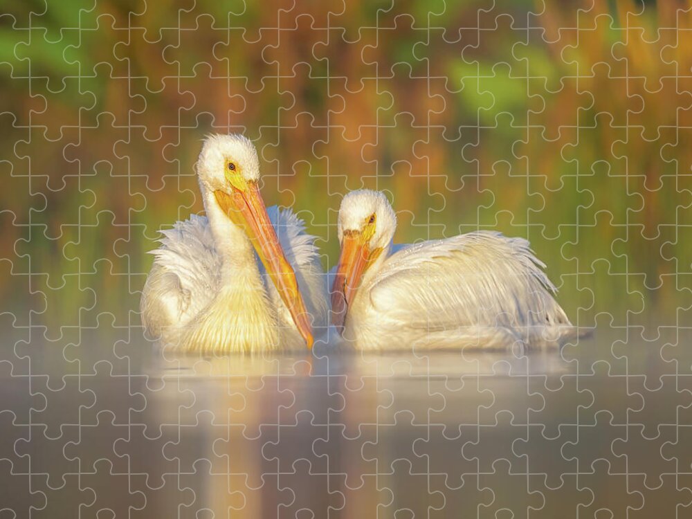 Dream Team - Puzzle