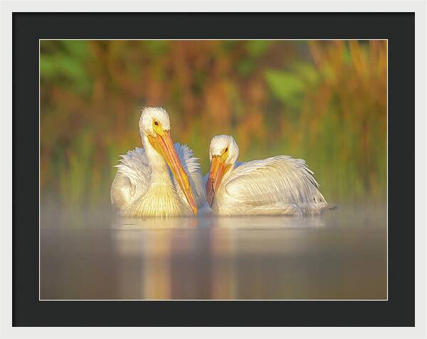Dream Team - Framed Print