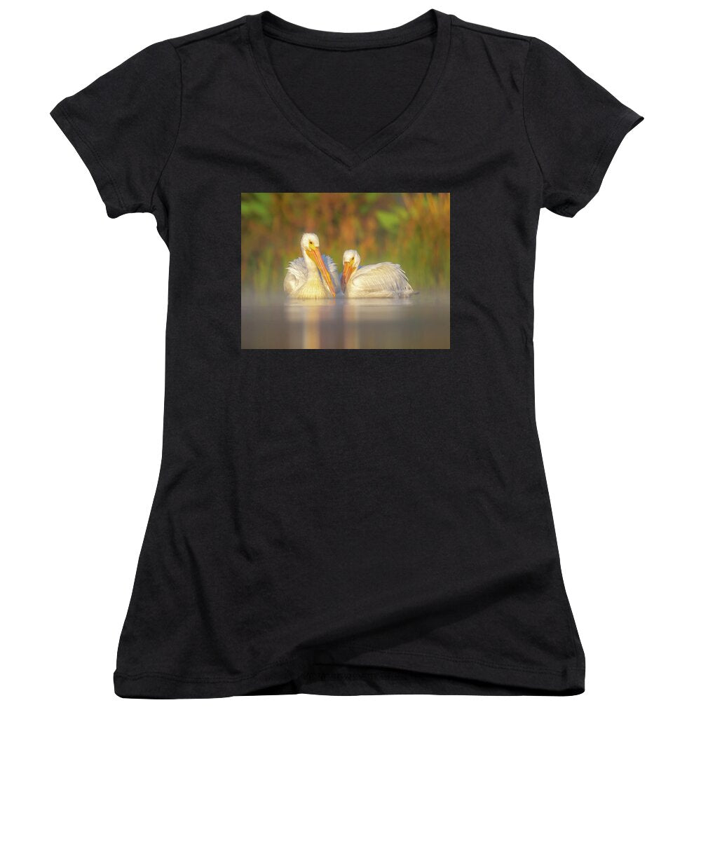 Dream Team - Women's V-Neck