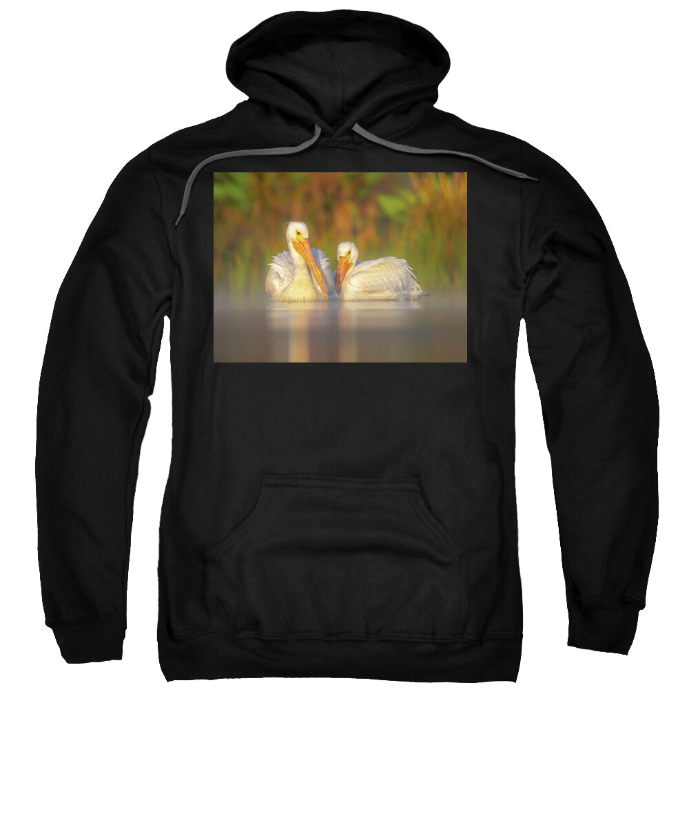 Dream Team - Sweatshirt