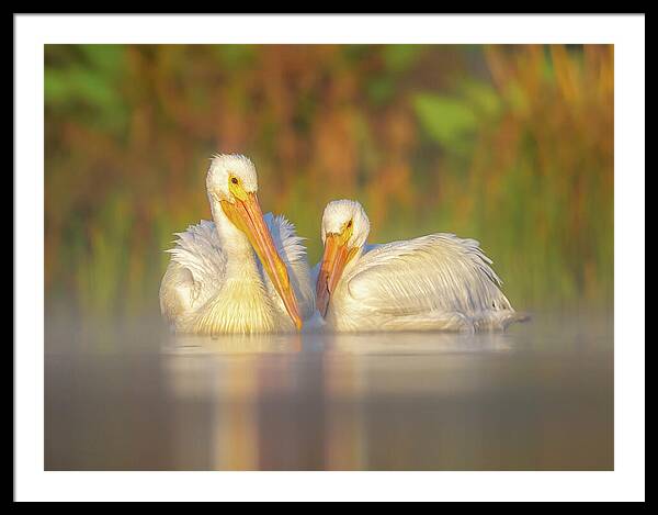 Dream Team - Framed Print