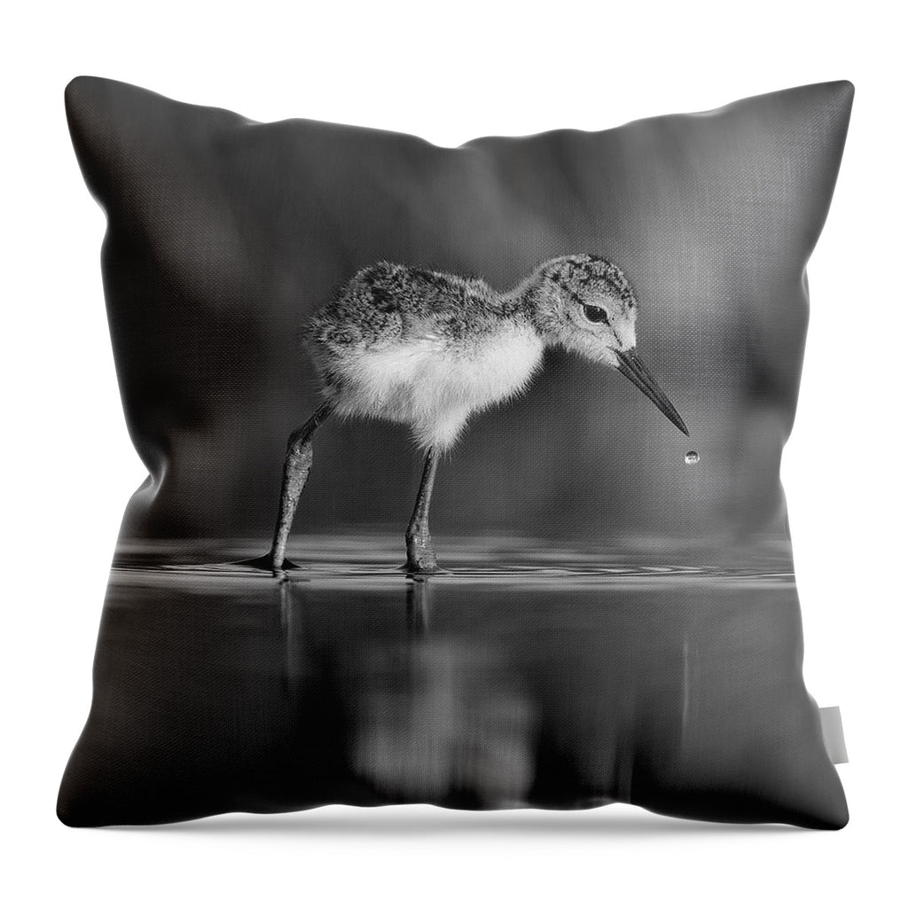 Droplet - Throw Pillow