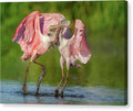 Duel at Dawn - Canvas Print