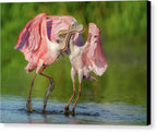 Duel at Dawn - Canvas Print