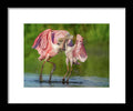 Duel at Dawn - Framed Print