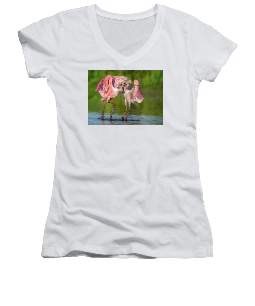 Duel at Dawn - Women's V-Neck