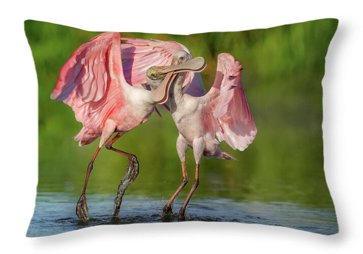 Duel at Dawn - Throw Pillow