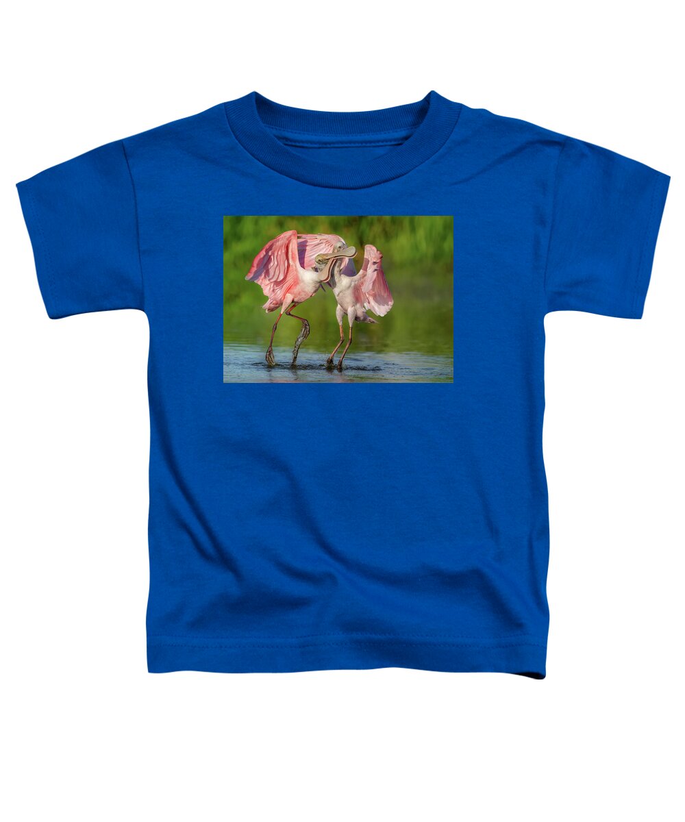 Duel at Dawn - Toddler T-Shirt