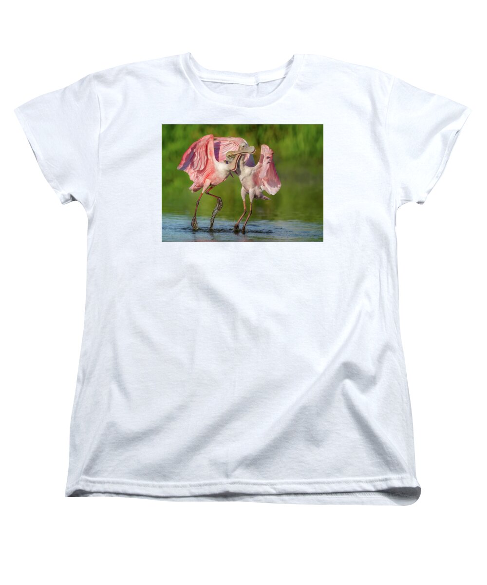 Duel at Dawn - Women's T-Shirt (Standard Fit)