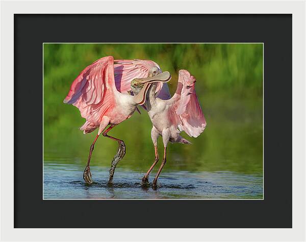 Duel at Dawn - Framed Print