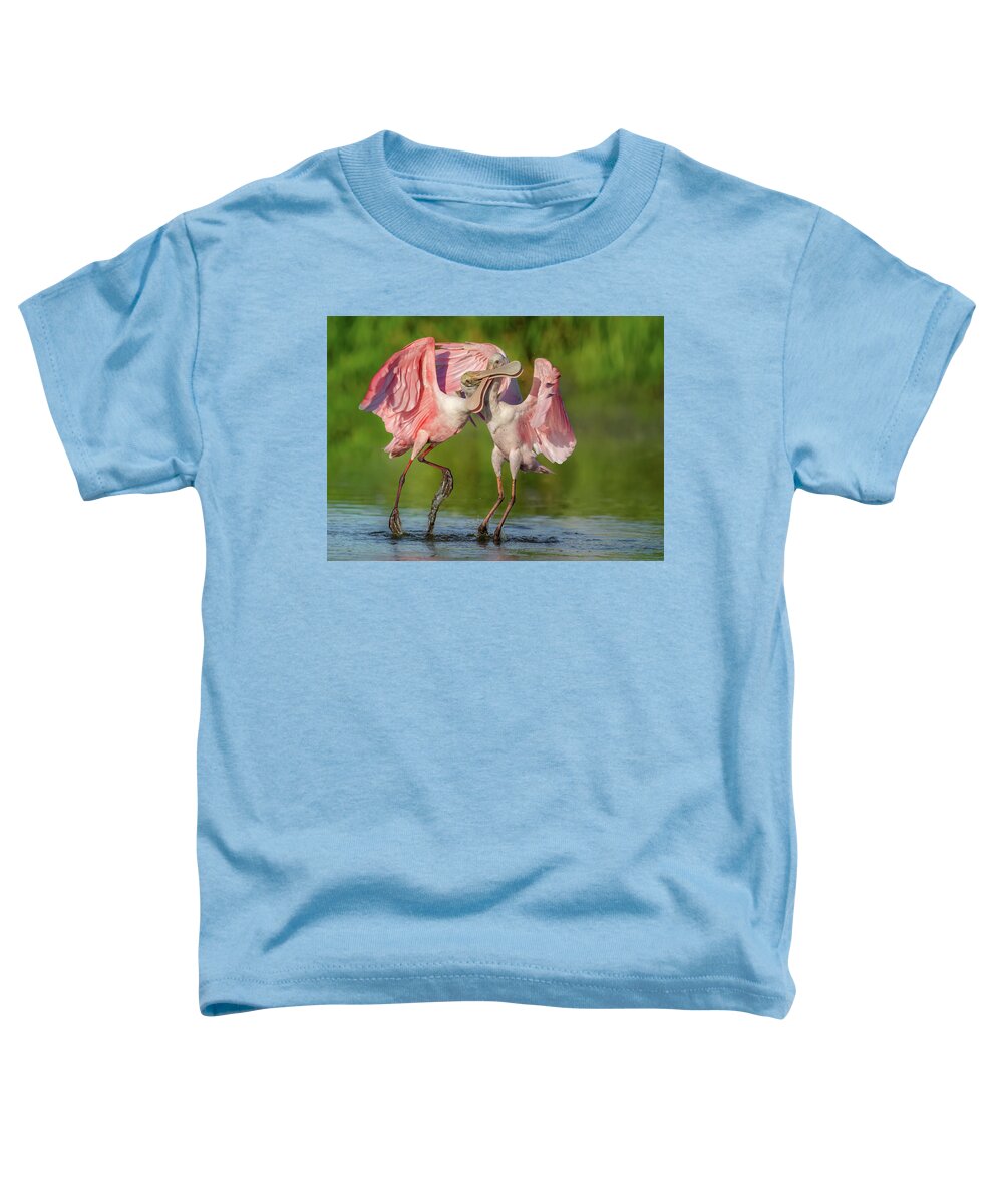 Duel at Dawn - Toddler T-Shirt