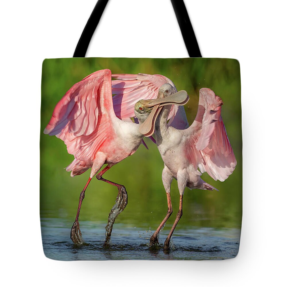 Duel at Dawn - Tote Bag