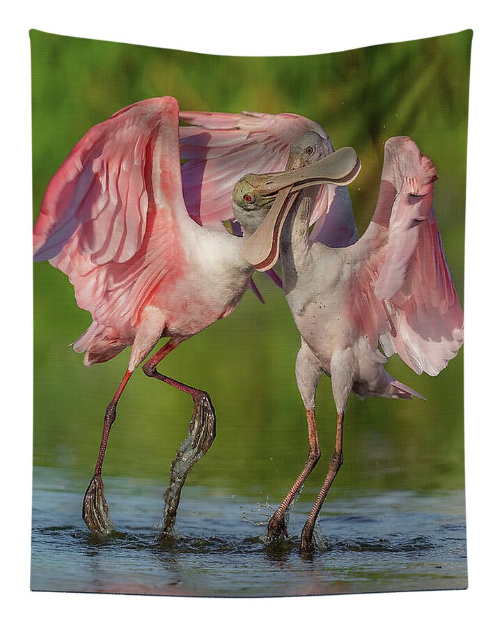 Duel at Dawn - Tapestry