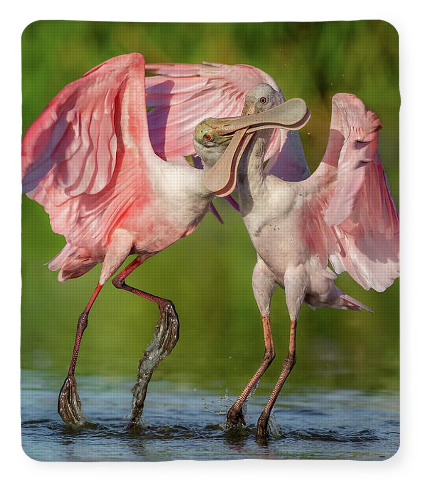 Duel at Dawn - Blanket