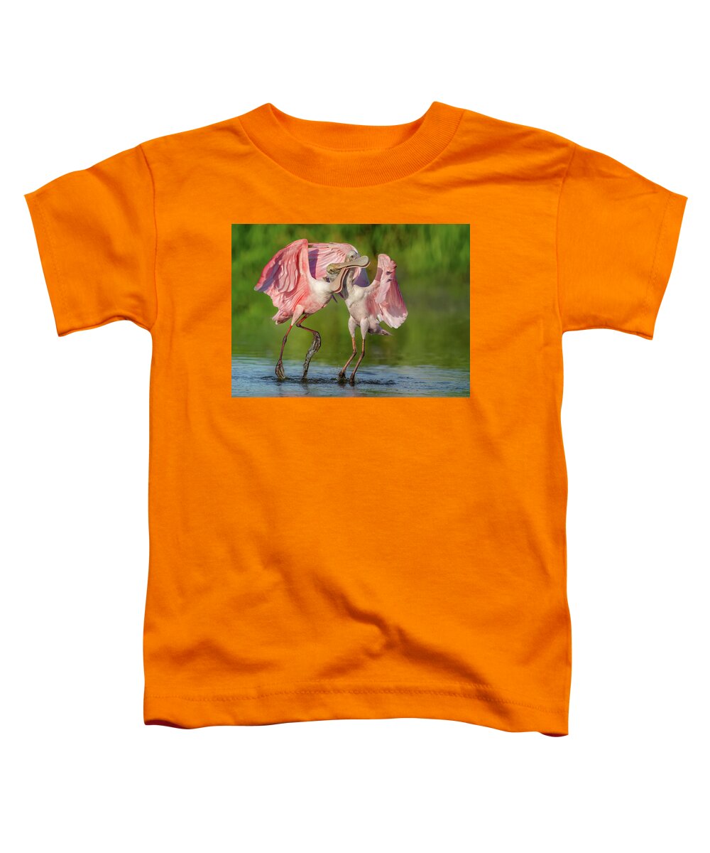 Duel at Dawn - Toddler T-Shirt