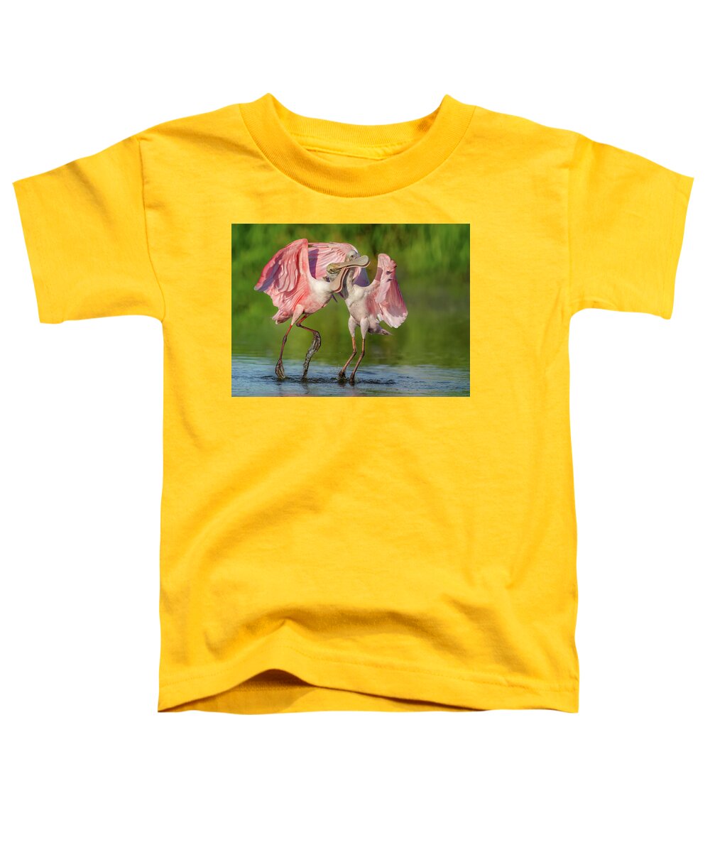 Duel at Dawn - Toddler T-Shirt