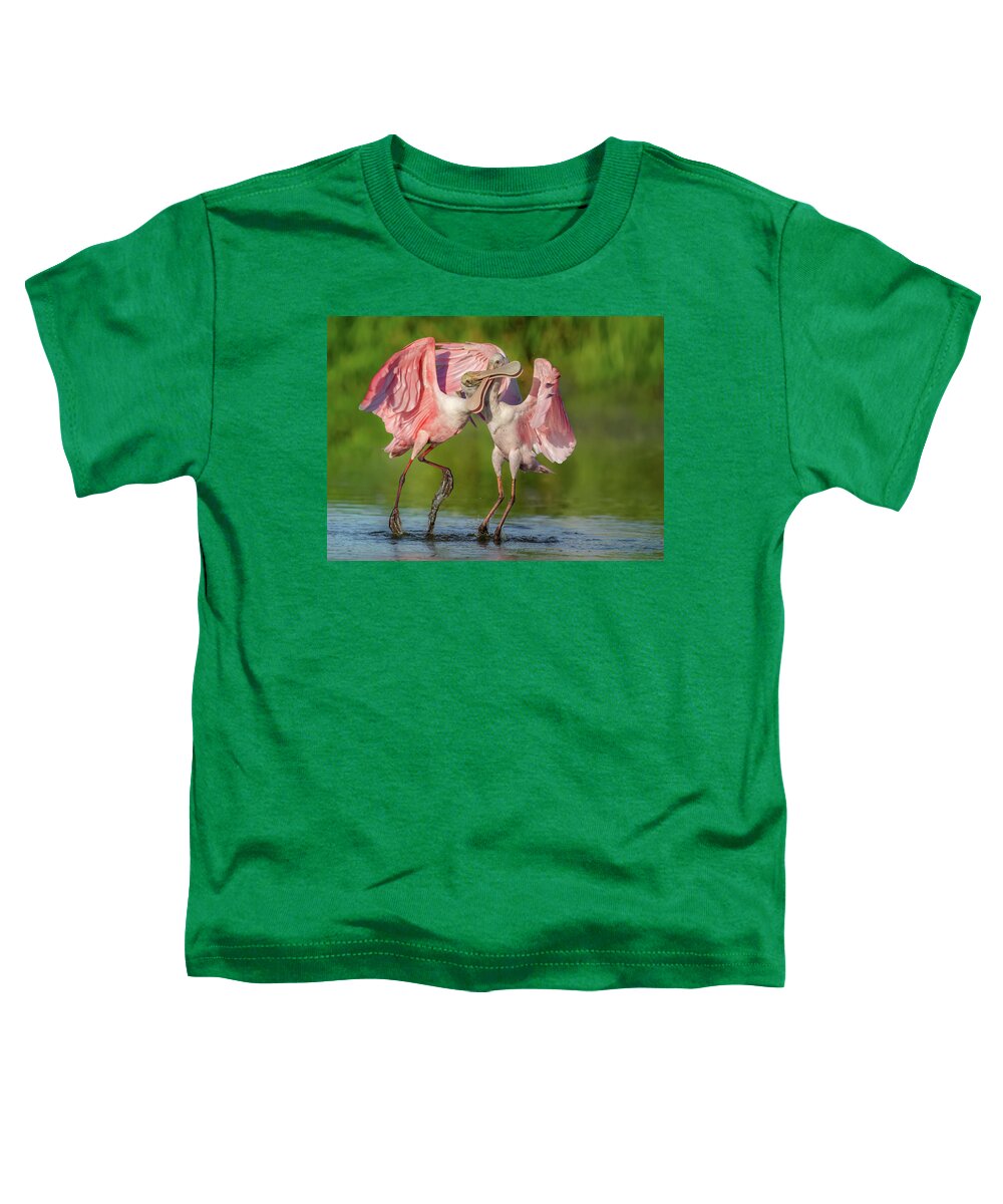 Duel at Dawn - Toddler T-Shirt