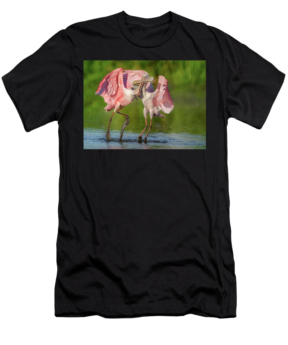 Duel at Dawn - T-Shirt