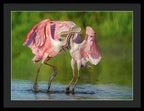 Duel at Dawn - Framed Print