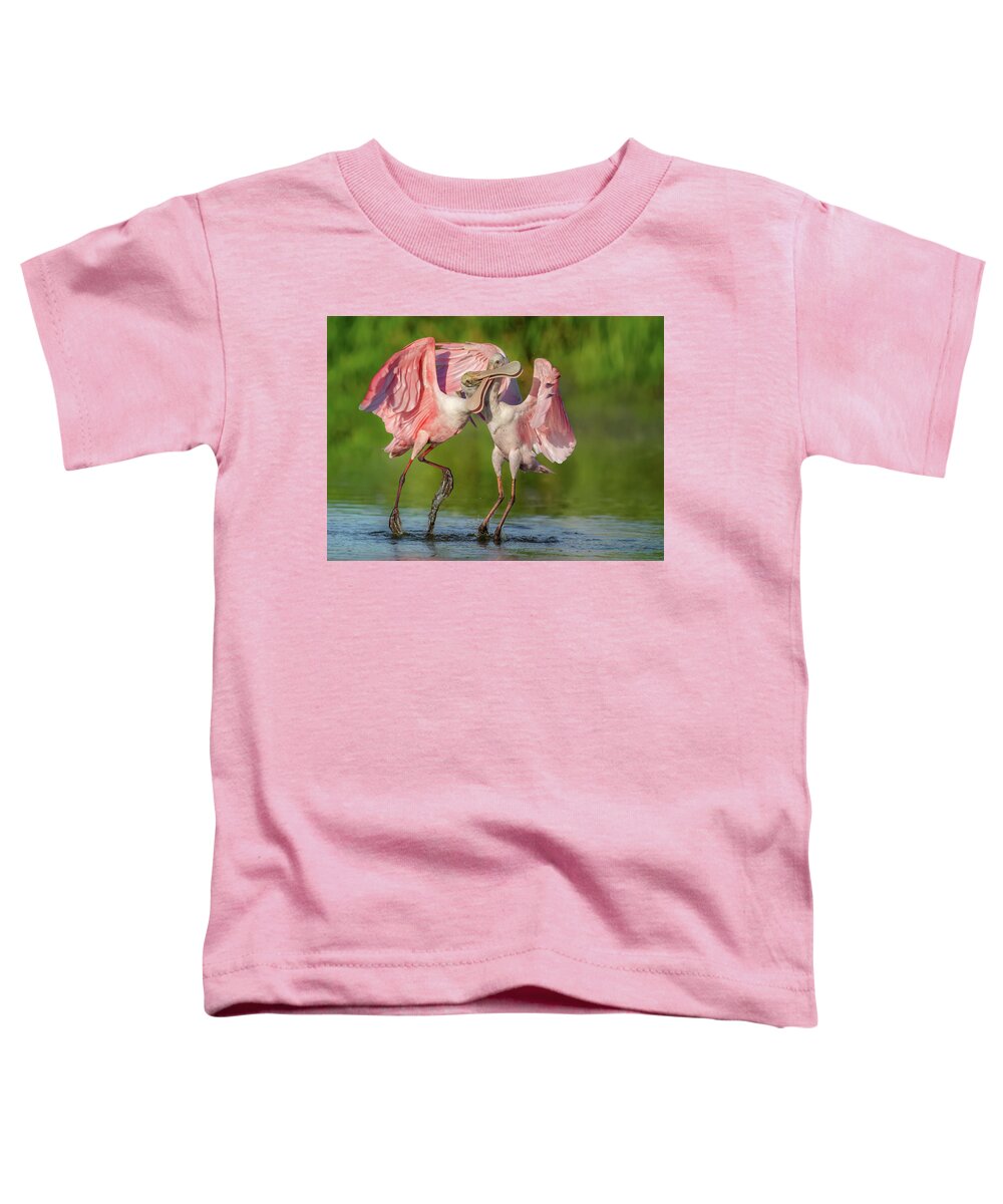 Duel at Dawn - Toddler T-Shirt