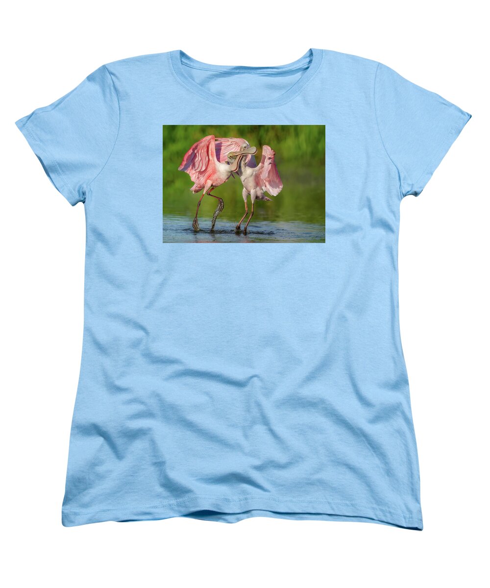 Duel at Dawn - Women's T-Shirt (Standard Fit)