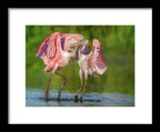 Duel at Dawn - Framed Print