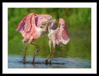 Duel at Dawn - Framed Print