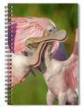 Duel at Dawn - Spiral Notebook