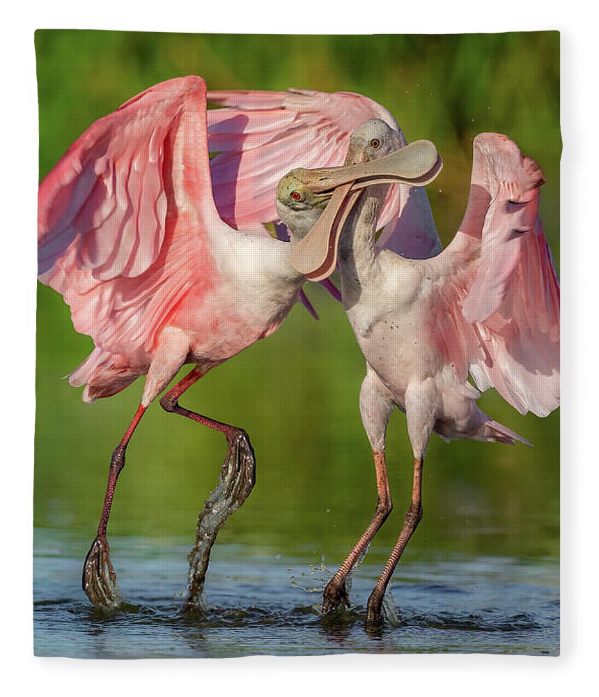Duel at Dawn - Blanket