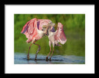 Duel at Dawn - Framed Print