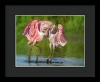 Duel at Dawn - Framed Print