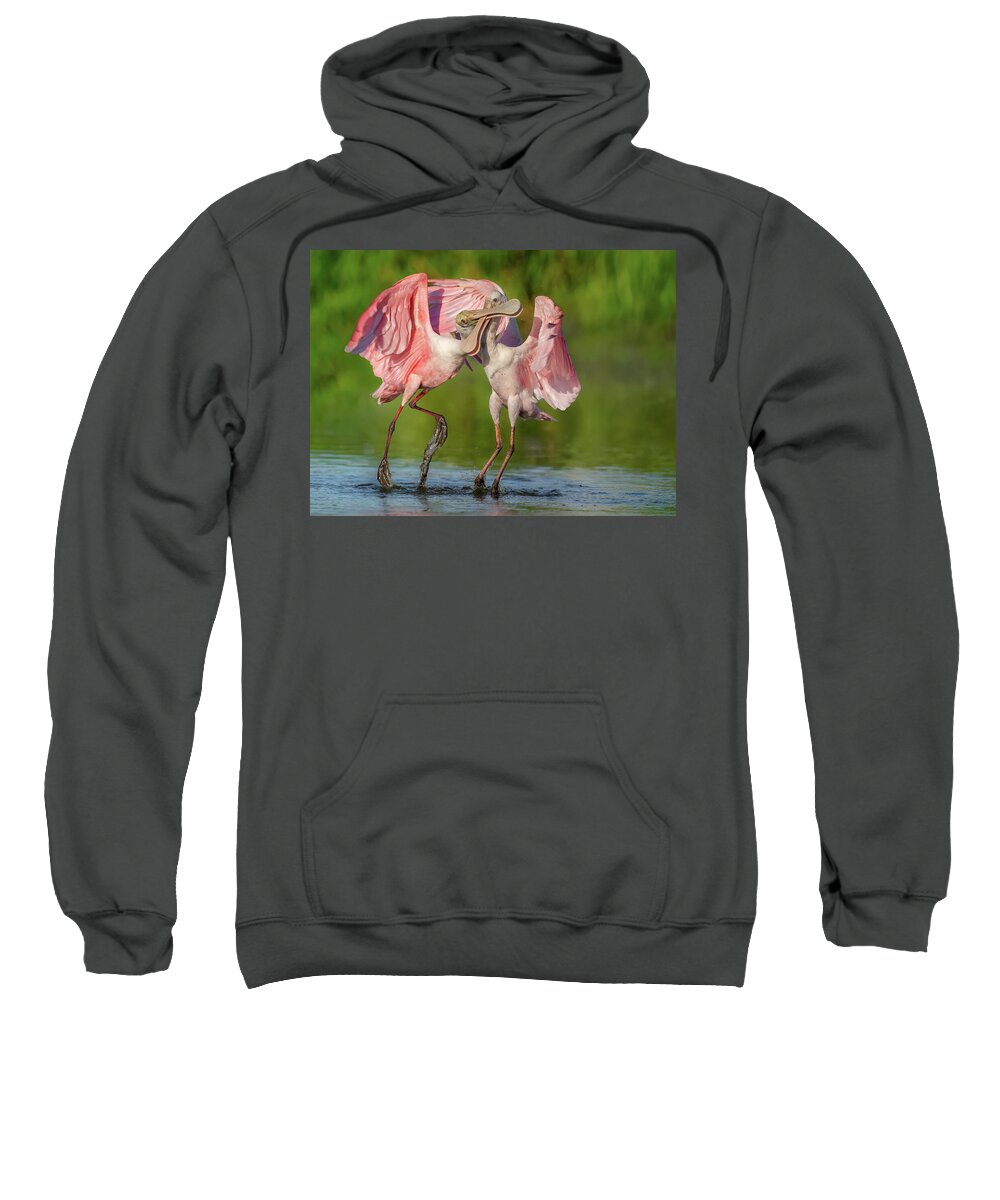 Duel at Dawn - Sweatshirt