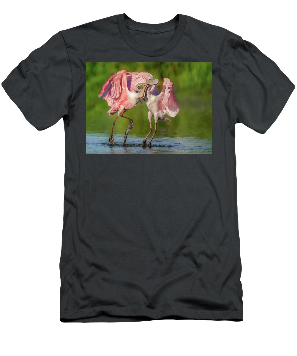 Duel at Dawn - T-Shirt