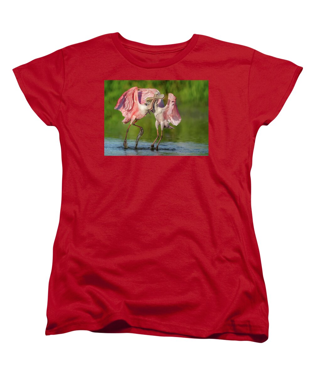Duel at Dawn - Women's T-Shirt (Standard Fit)