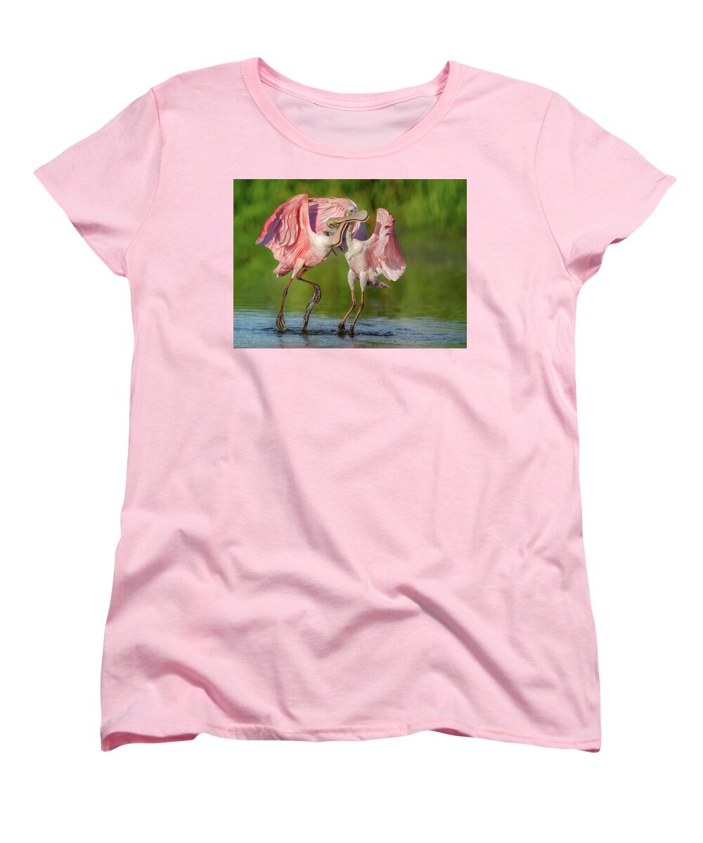 Duel at Dawn - Women's T-Shirt (Standard Fit)
