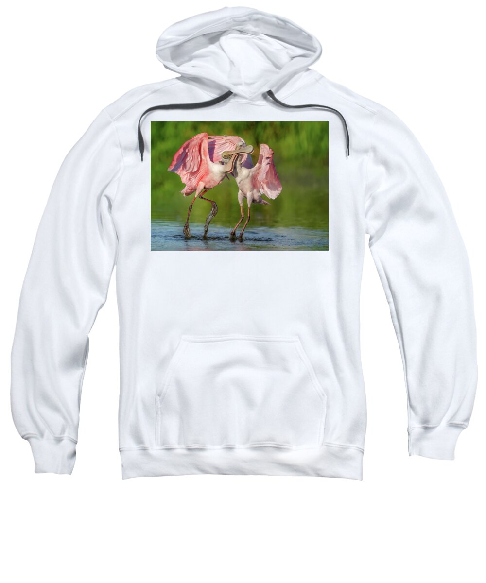 Duel at Dawn - Sweatshirt